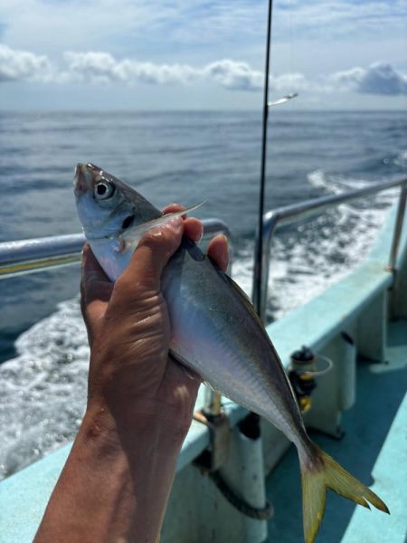 伊勢湾ジギング