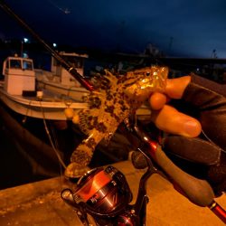 ライトゲーム　メバル釣査