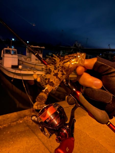 ライトゲーム　メバル釣査