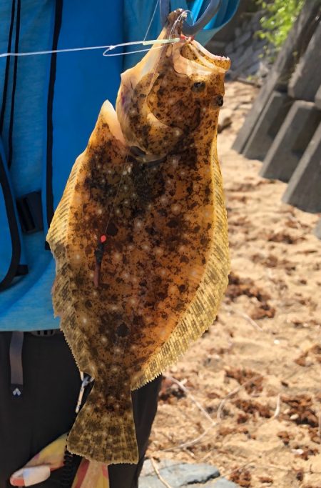 キス狙いで多彩&嬉しいゲスト