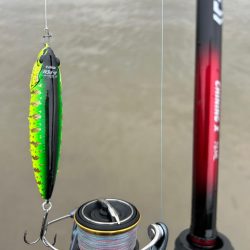 雨の中のチニング！