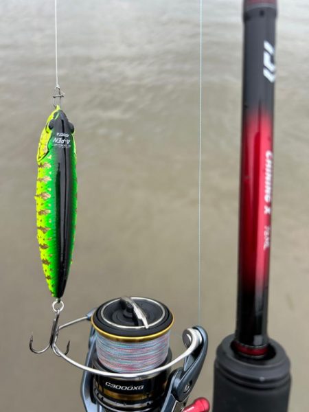 雨の中のチニング！