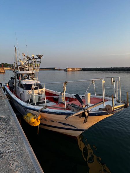 白イカ・アジ釣行