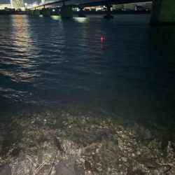 電気ウキアオイソメ流し釣り