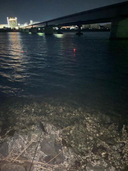 電気ウキアオイソメ流し釣り