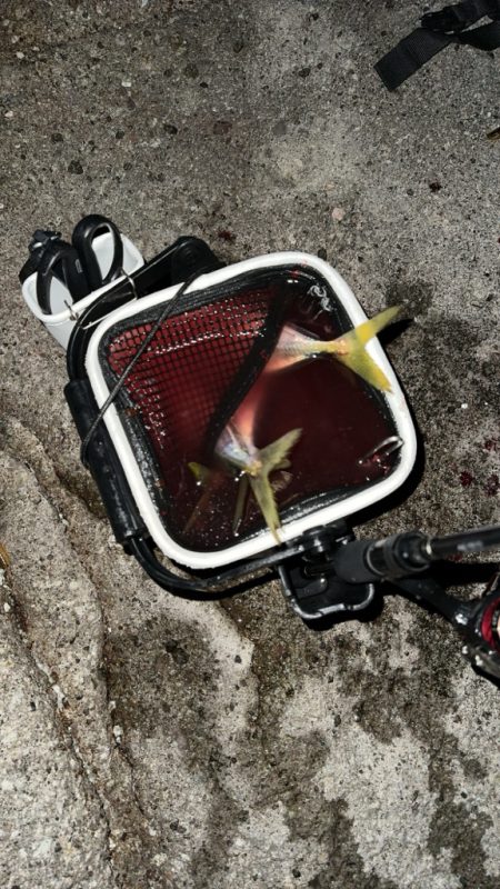 ロックアジング