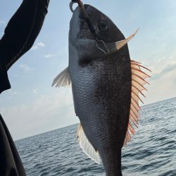 昼からぶらっと♪