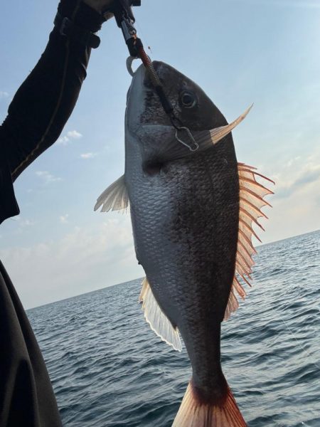 昼からぶらっと♪