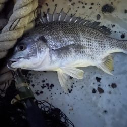 涼しいけど、投げづらい