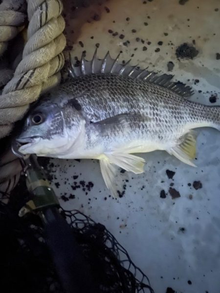 涼しいけど、投げづらい