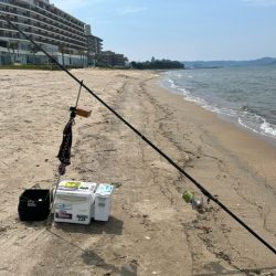 虹ノ松原でキス釣り確認です