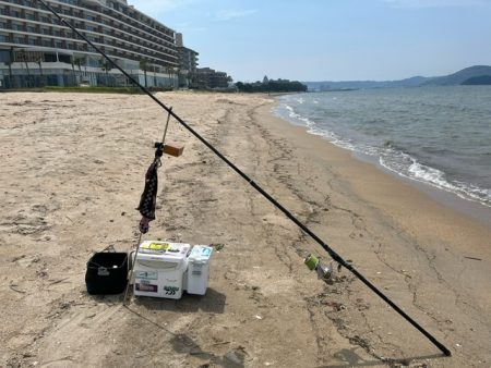 虹ノ松原でキス釣り確認です
