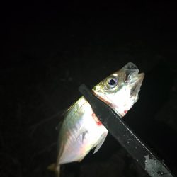 フロートゲーム～