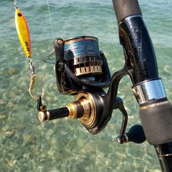 静かな海の中で…