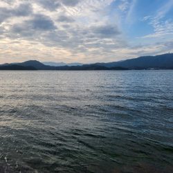 渋い中何とか1匹