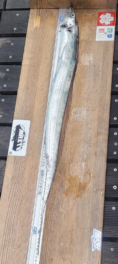 何とか釣れたオフシーズン太刀魚