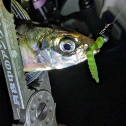 激渋→少し回復？