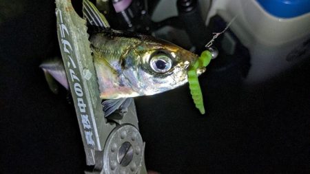 激渋→少し回復？