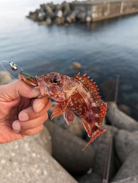 陸っぱり釣行記