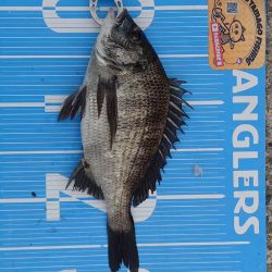 紀州釣りに挑戦しました🙋