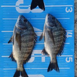 紀州釣りに挑戦🙋