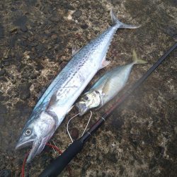 シャワーを浴びながら