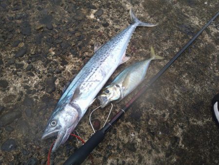 シャワーを浴びながら