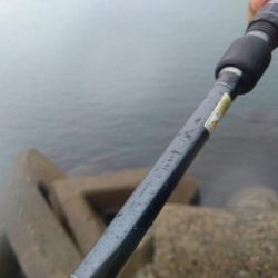 雨の日の釣りは