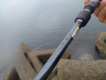 雨の日の釣りは