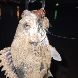 サーフチニング