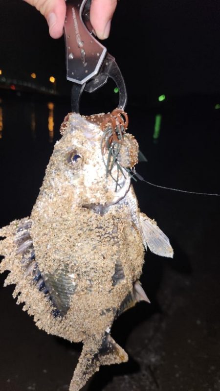 サーフチニング