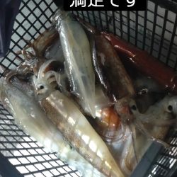 初めてのイカメタル！