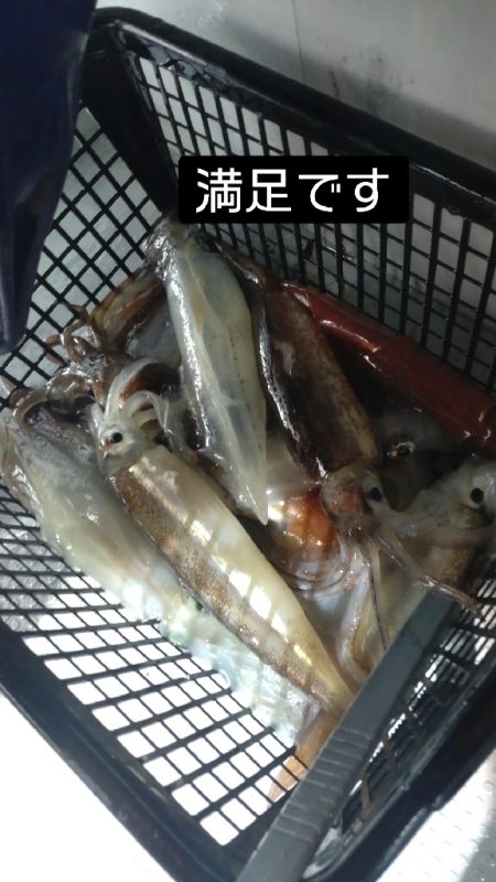 初めてのイカメタル！