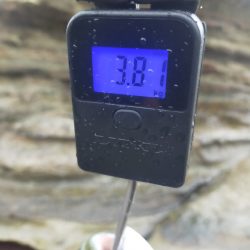 メジロ（ワラサ）今期青物始まりました