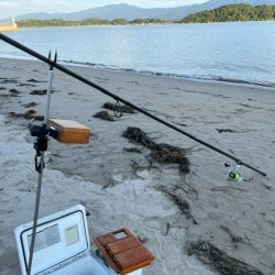 地元の釣り場を探ってみました