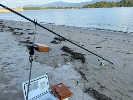 地元の釣り場を探ってみました