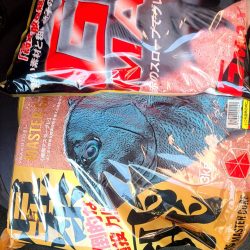 和歌山市江(吉丸渡船)でグレ釣り