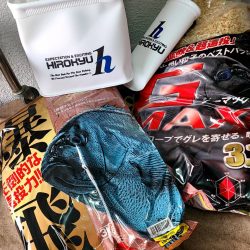 和歌山市江(吉丸渡船)でグレ釣り