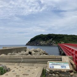 大きいサイズがヒットしない