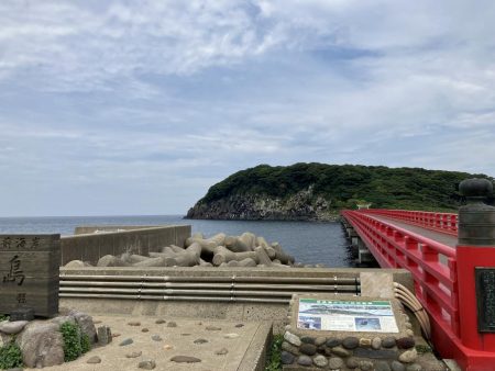 大きいサイズがヒットしない