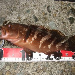 数は出たものの