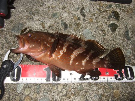 数は出たものの