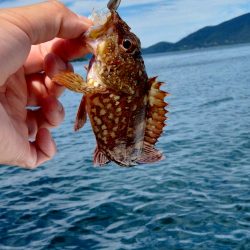 ボートエギング＆ロックフィッシュ