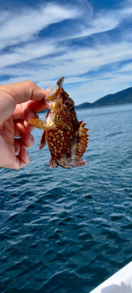 ボートエギング＆ロックフィッシュ