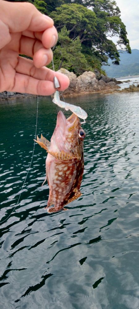 エギング&ロックフィッシュゲーム