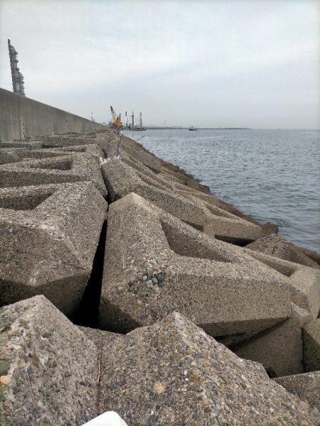 高活性だが···