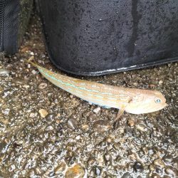 和歌山三重遠征最終日