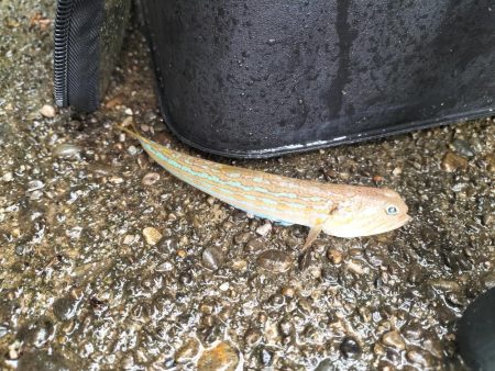 和歌山三重遠征最終日