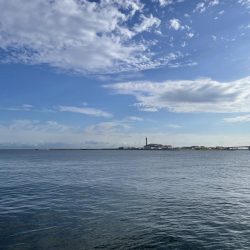 タコ ランガン不発