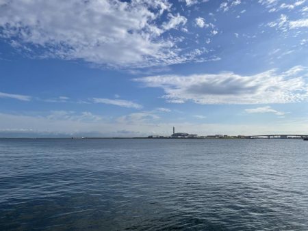 タコ ランガン不発